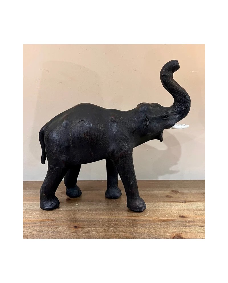 Antiguo elefante africano en piel ojos de cristal