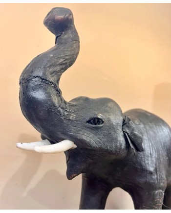 Antiguo elefante africano en piel ojos de cristal