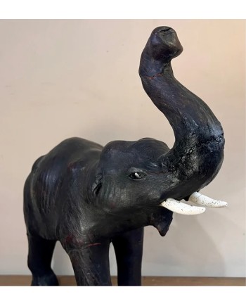 Antiguo elefante africano en piel ojos de cristal