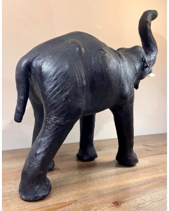 Antiguo elefante africano en piel ojos de cristal